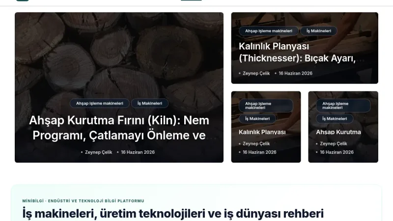Mini Bilgi